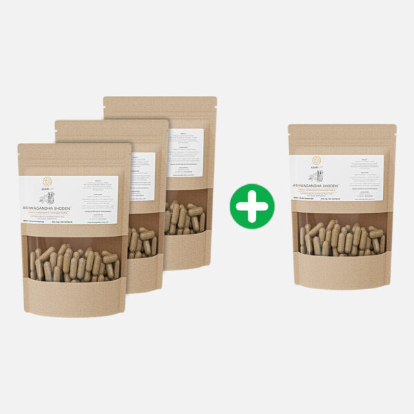 Bio-Ashwagandha Shoden® 240 Kapseln mit 35% Withanolide - 30% sparen